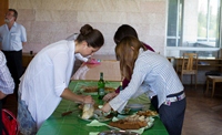 DSMSI-2011